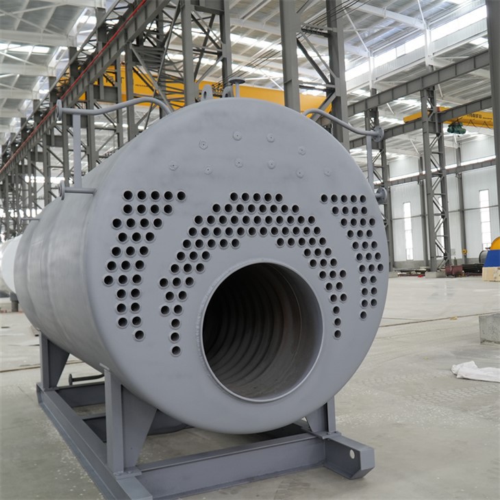 Natural Gas Fired Steam Boiler